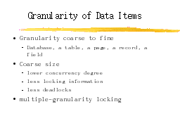 Granularity of Data Items